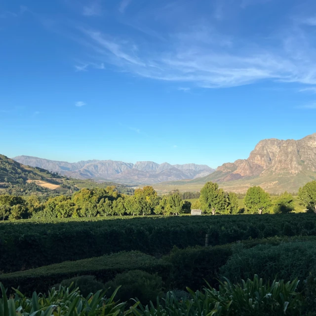 READY FOR SOUTH AFRICA? 🇿🇦🚴‍♂️

Vom 28.02. bis 15.03.2027 tauschen wir den Winter gegen die Sonne Südafrikas! Es wartet ein episches Rennrad-Abenteuer auf uns: 
1.145 km und geballte 13.500 Höhenmeter pures Gänsehaut-Feeling.

Unsere Reise im Schnelldurchlauf:
Tag 1-3: Stellenbosch | Ankommen im Weinland & Beine lockerfahren.
Tag 4-5: Franschhoek | Pässe bezwingen & schlemmen im kulinarischen Herzen.
Tag 6: Wellington | Knackige Anstiege vor gewaltiger Bergkulisse.
Tag 7-8: Worcester | Kilometer sammeln & Safari im Aquila Game Reserve!
Tag 9-11: Hermanus, Gordon’s Bay & Simon’s Town | Epische Küstenstraßen & Pinguine.
Tag 12-15: Kapstadt | Das große Finale in der Mother City!
Das absolute Highlight zum Abschluss: Wer noch Körner in den Beinen hat, rockt das legendäre Cape Argus Cycling Race – das größte Jedermann-Rennen der Welt! 

Alle Details, Preise und die Buchung zu diesem Traum-Trip findest du ab sofort auf unserer Website! 

https://comzuheppe.com/reise/rennrad-abenteuer-suedafrika/